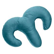 Snuggle Pillow and Vibe